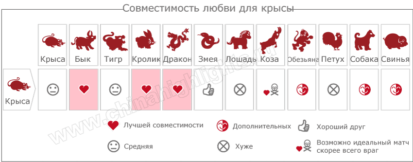 Год Крысы Гороскоп, 2020 Год Какого Животного