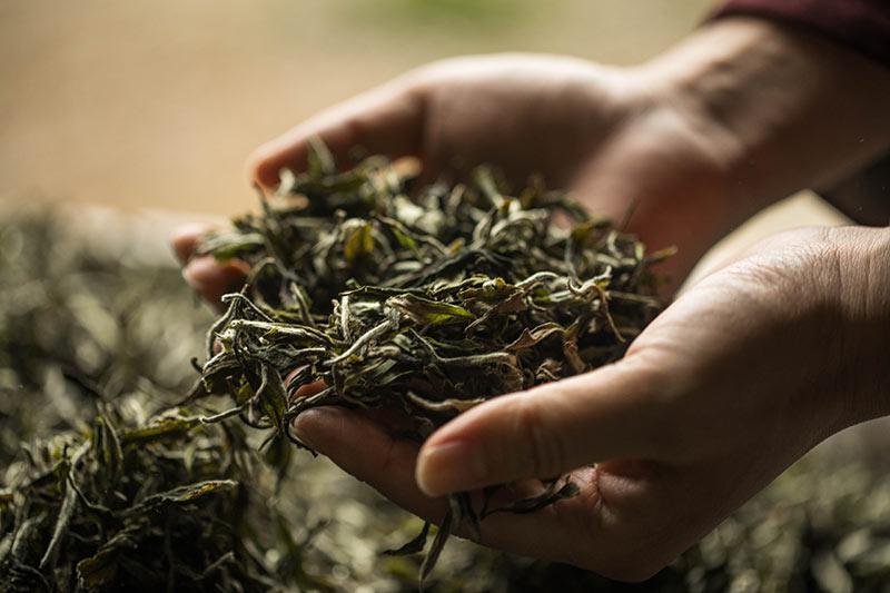 китайский Зеленый чай 