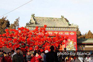 Стоит ли ехать в Китай на Китайский Новый Год